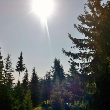 Apartmán Lemberger Krimml
