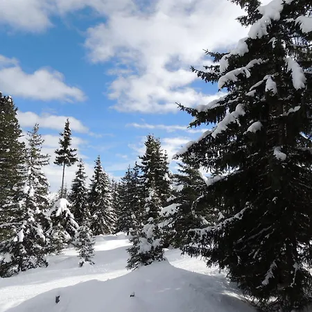 Appartement Lemberger *