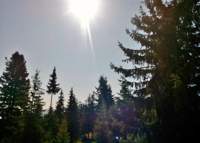 아파트 Lemberger 크리믈