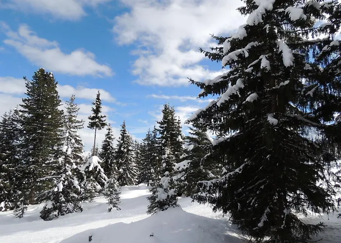 아파트 Lemberger *